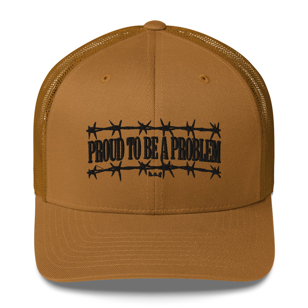 "Proud To Be A Problem" Embroidered Hat