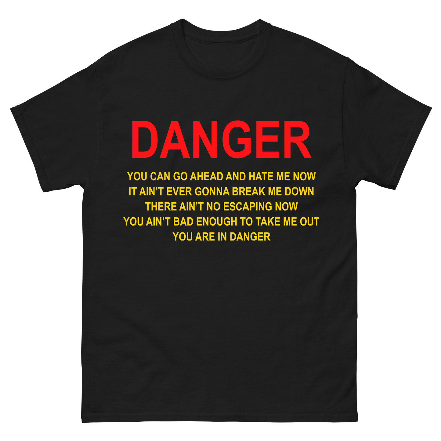 "You Can Go Ahead and Hate Me Now" T-Shirt